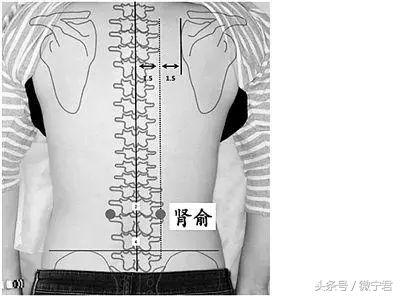 人体36个死穴的功能及注意事项