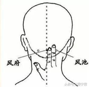 人体36个死穴的功能及注意事项