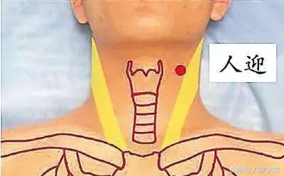 人体36个死穴的功能及注意事项